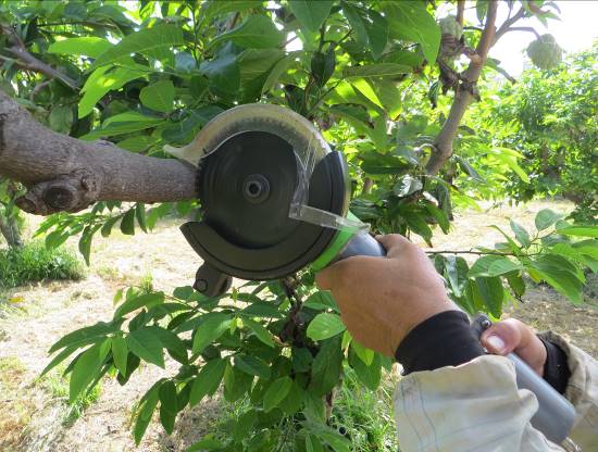 Electric pruning saw