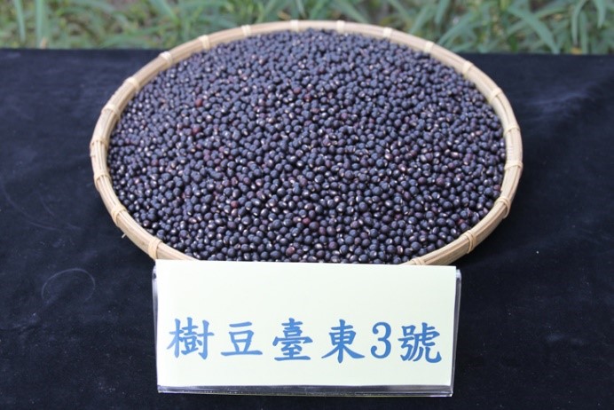 ‘Taitung No. 3’pigeon peas