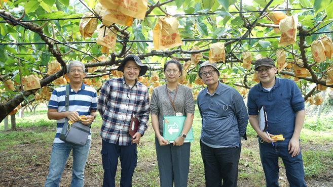 Evaluation of an outstanding atemoya orchard.