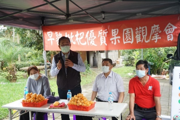 Demonstration event of an outstanding loquat orchard with early-maturing fruit.