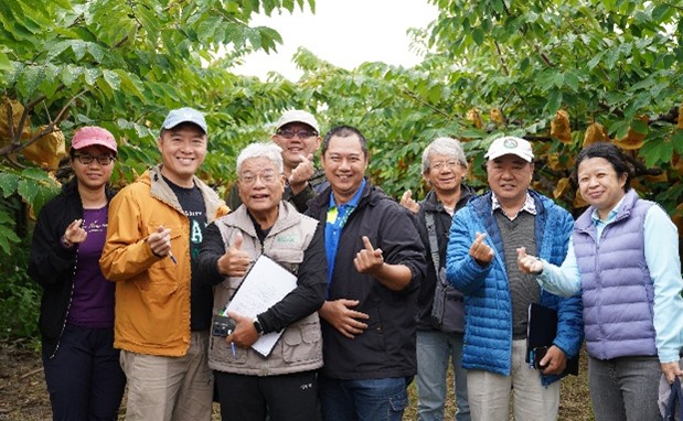 Evaluation of an outstanding atemoya orchard.