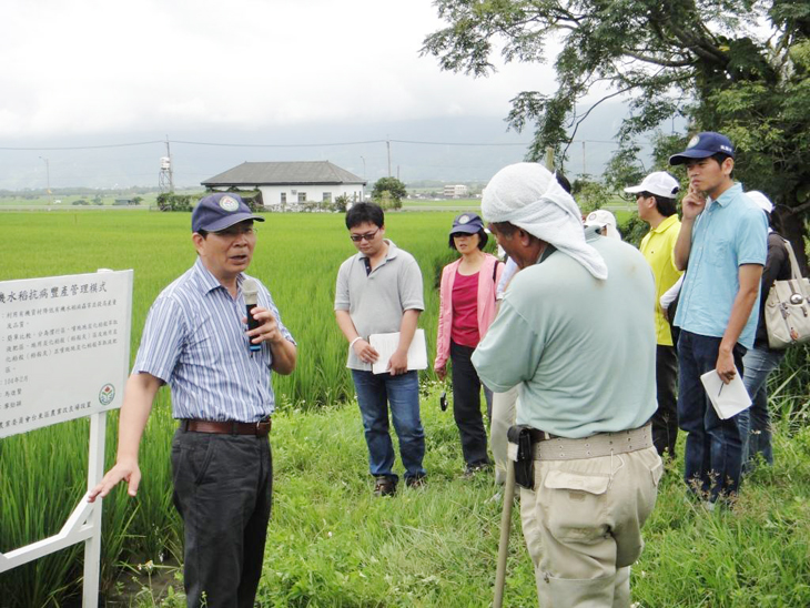 Director Chen directs establishment of techniques for the organic rice ecology service system in Chishang.