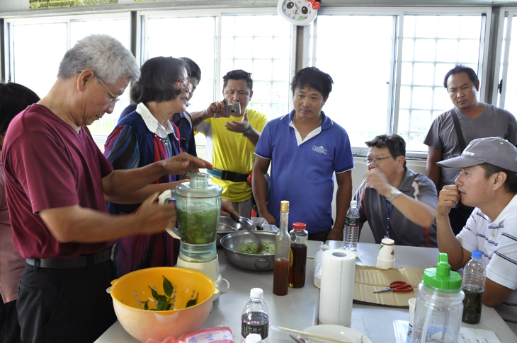 Hands-on production of healthy tea.