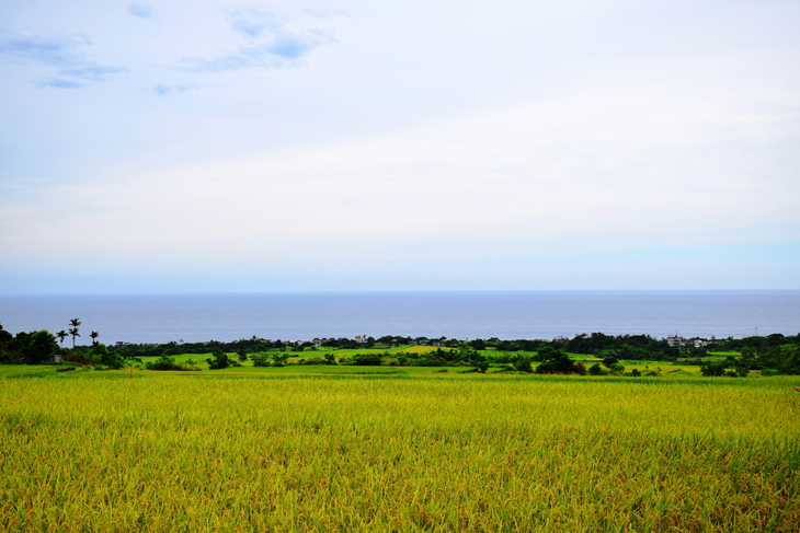 Changbin is a region of beautiful scenery that is well-suited to organic growing.