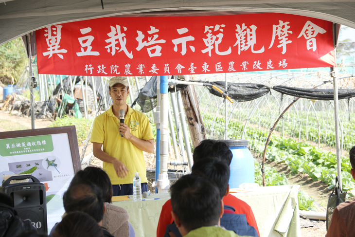 Liao Jia-zhu shares his experiences on winged bean cultivation.