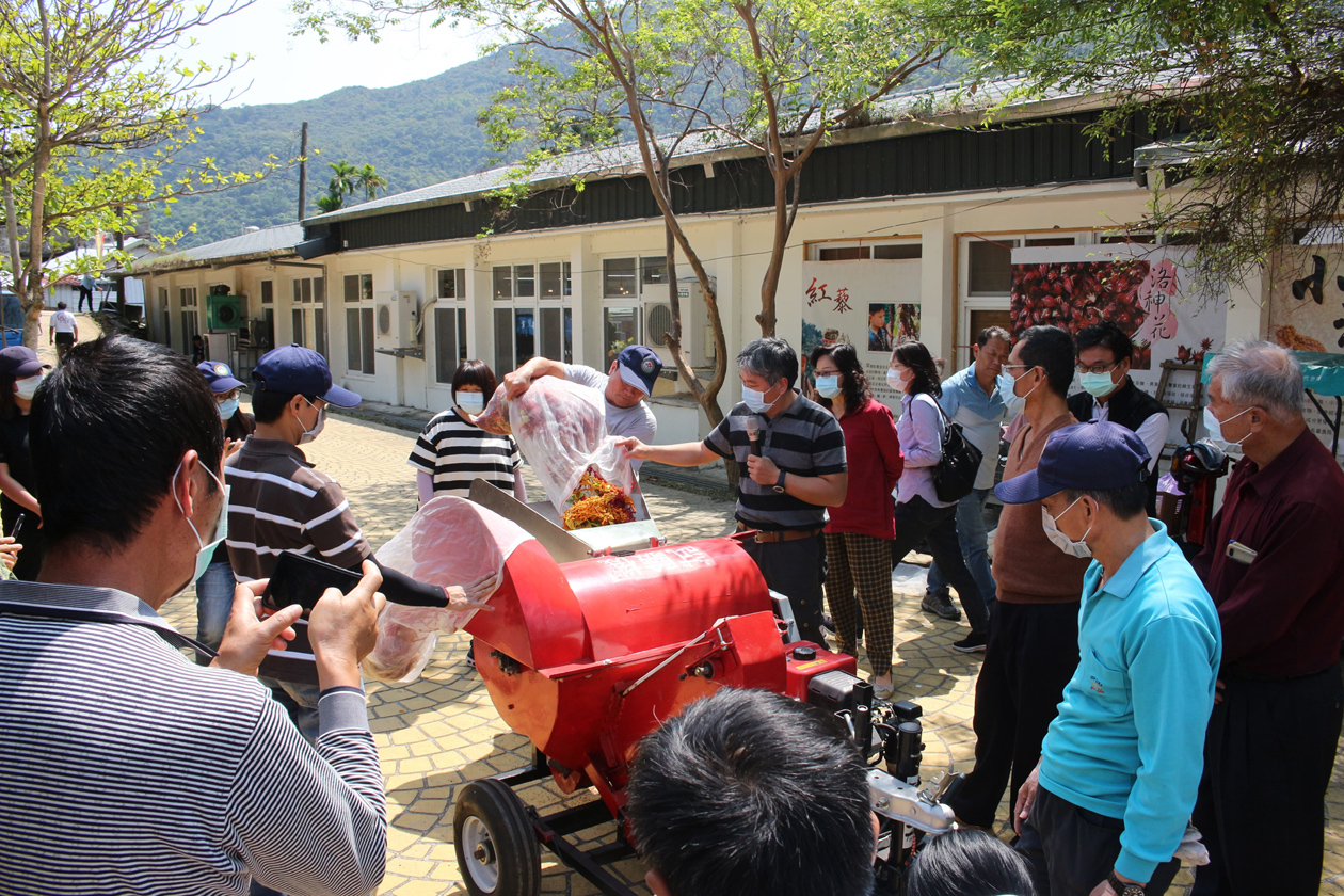 Associate researcher Huang Zheng-long demonstrates the use of a djulis threshing machine.