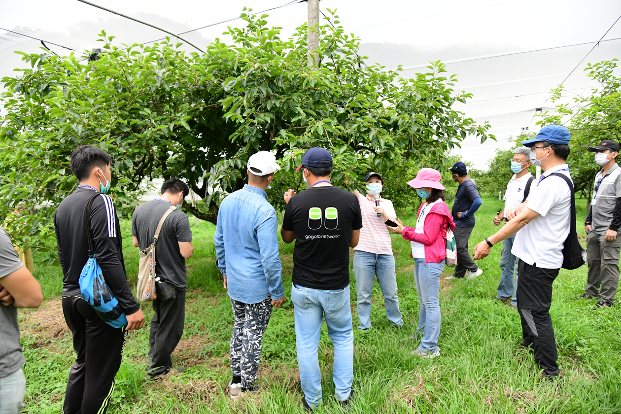 A tour of an orchard and instruction on cultivation management.