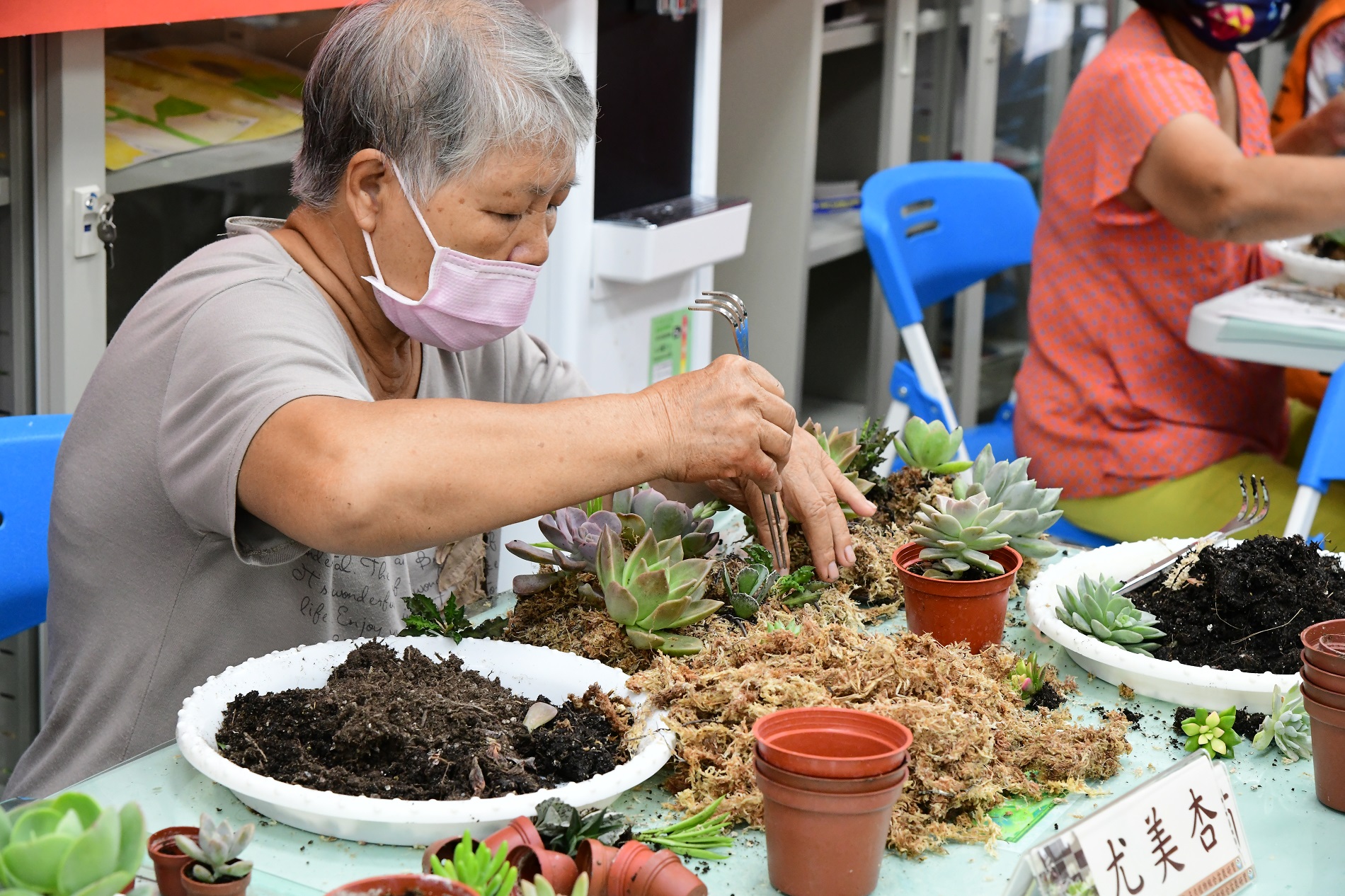 Seniors use their senses of sight, hearing, smell, and touch while potting their succulents.