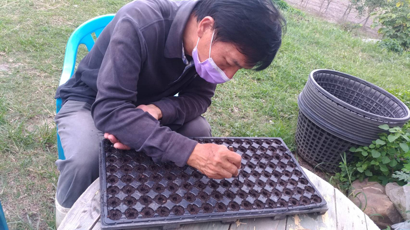 During the practical training, a student works with seedlings.