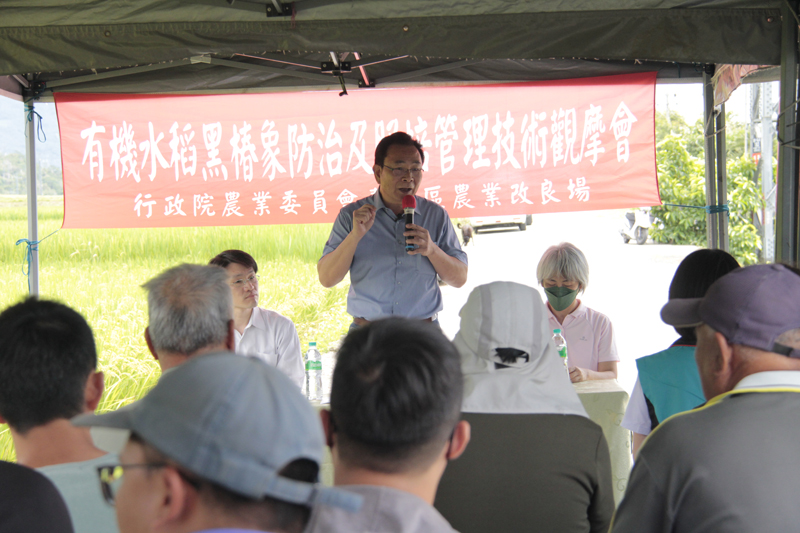 TTDARES Director Chen Hsin-yen hosts the Organic Rice Black Bug Control and Fertilization Management Demonstration Event.