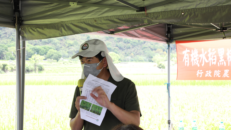 Associate researcher Zhang Ji-zhong discusses organic rice fertilization management techniques.