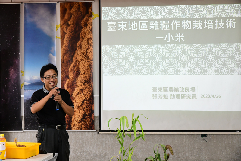 Assistant researcher Zhang Fang-kui talks about growing millet.