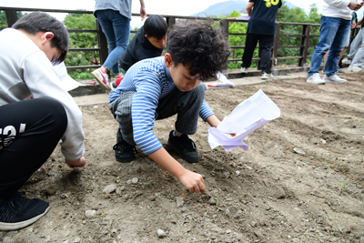Students plant millet seeds in rows.