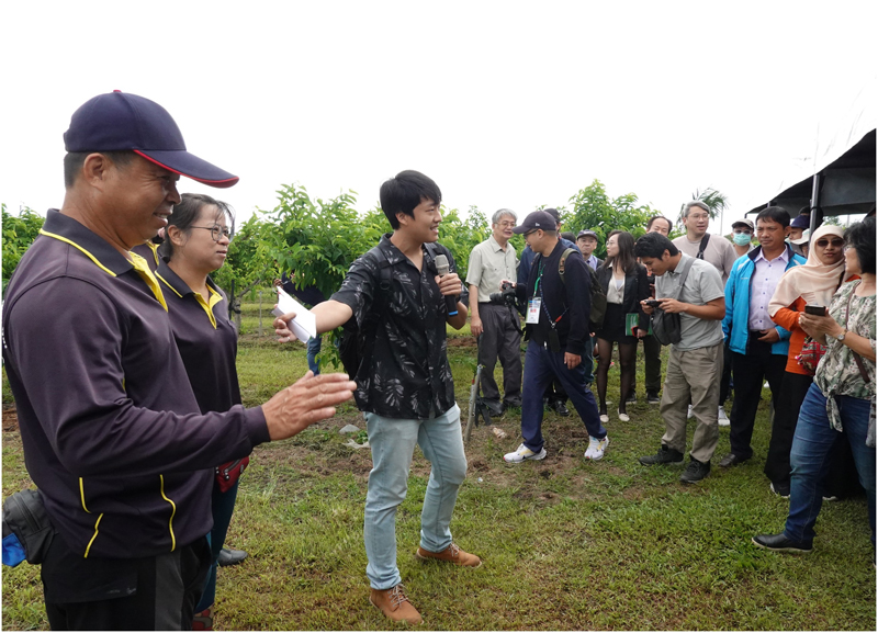 Researchers from various countries at a ta-mu sugar apple orchard in Taitung.