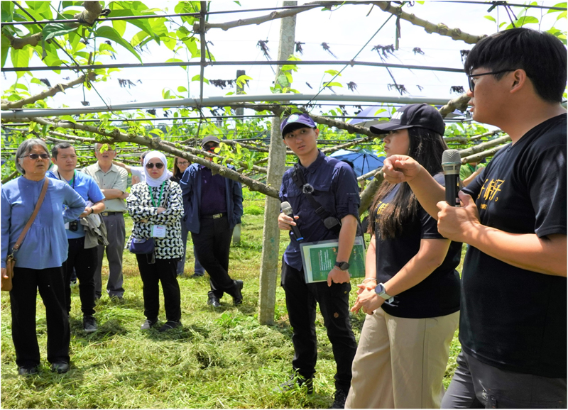 Researchers from various countries at an atemoya orchard in Taitung.