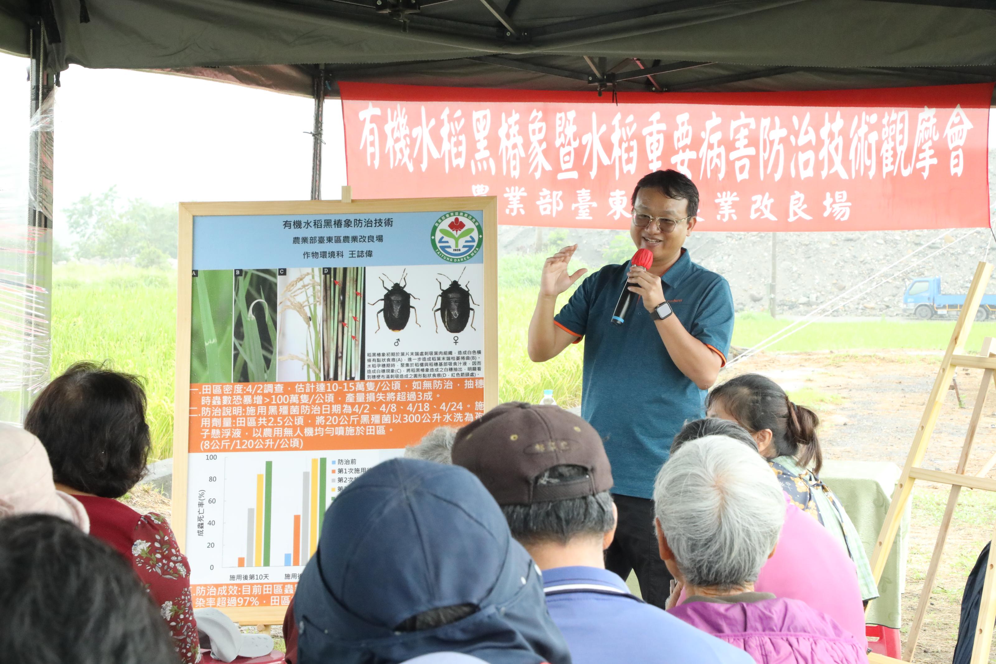 Assistant researcher Wang Chi-wei discusses rice black bug prevention measures taken in farmer Kuan Sheng-lin’s field.