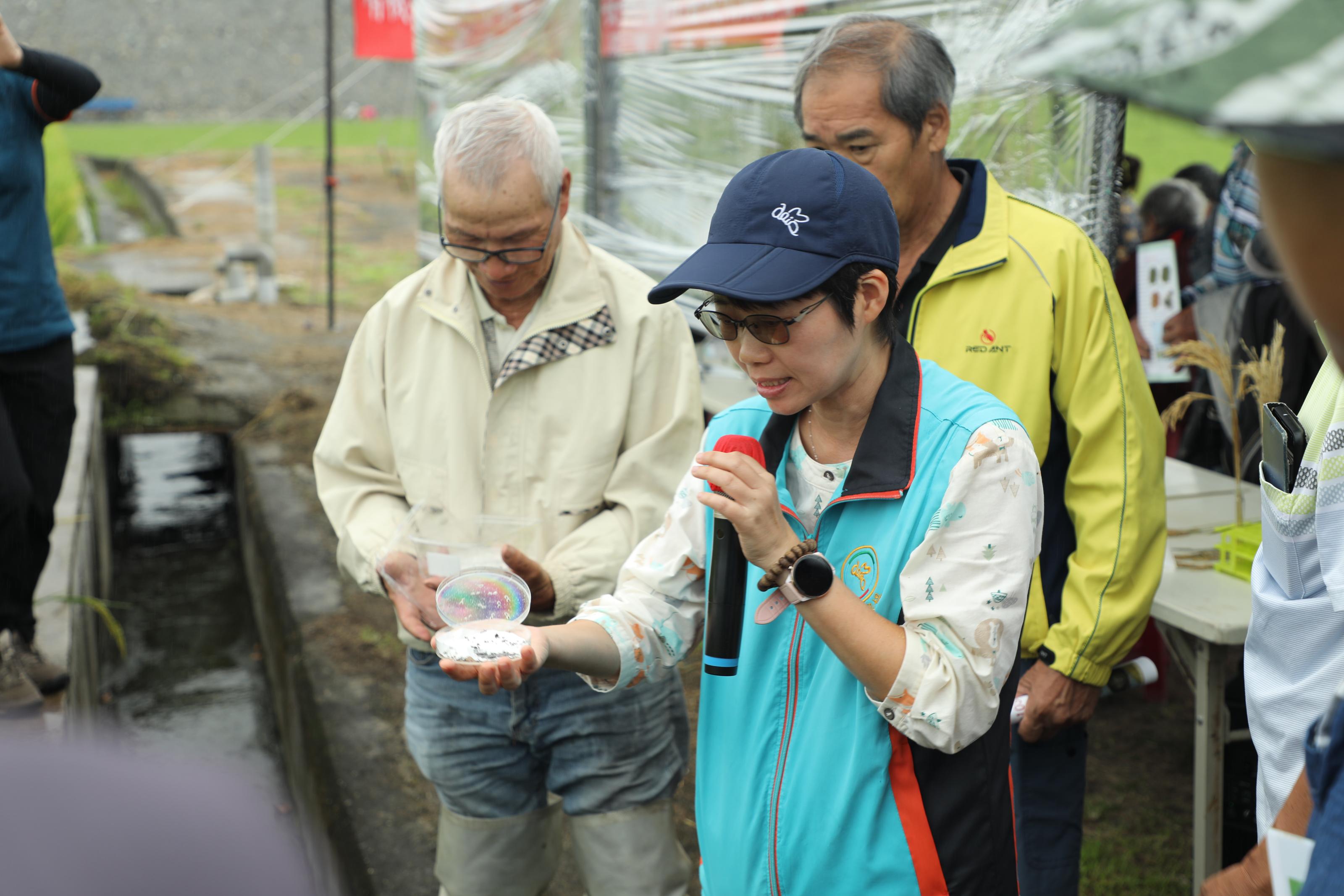 Miaoli District Agricultural Research and Extension Station associate researcher Wu Yi-hui talks about using a species of Telenomus wasp, a natural enemy of the rice black bug.