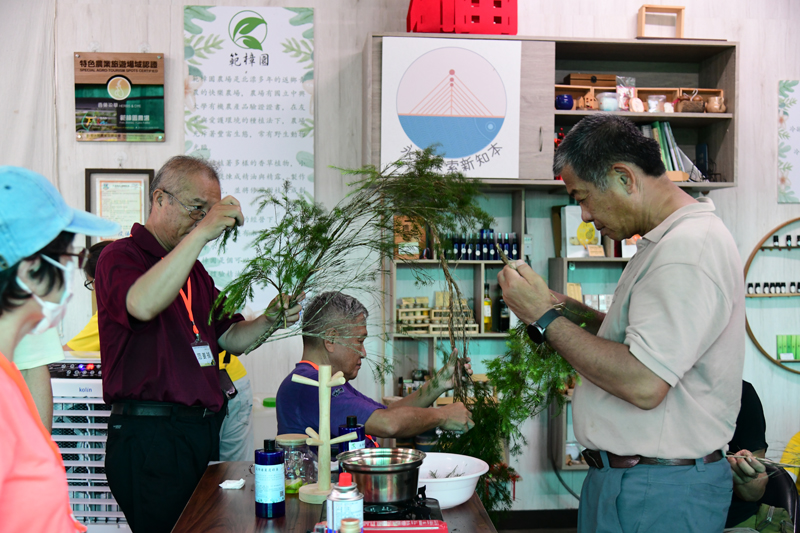 Participants making essential oil and herbal distillates from tea tree leaves.