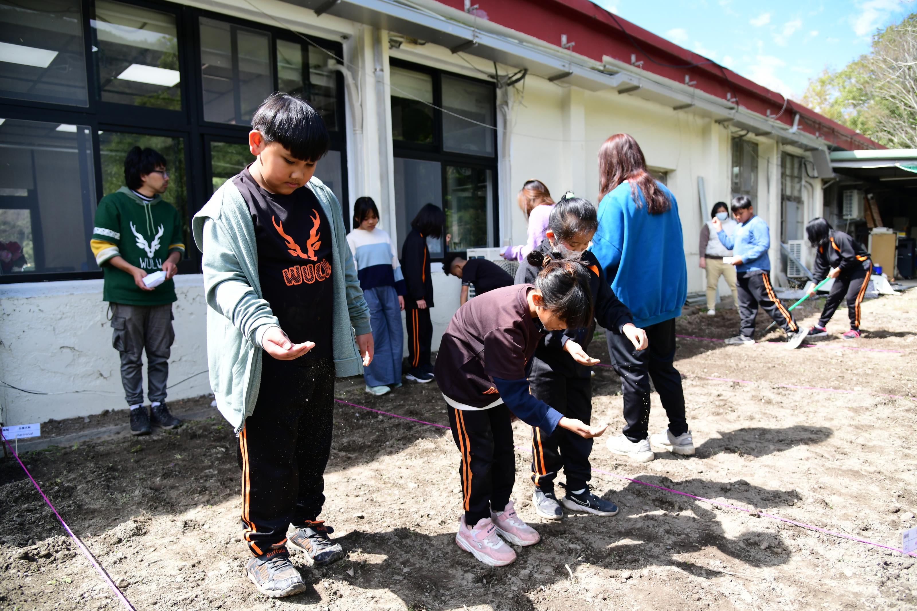 Students planting millet seeds.