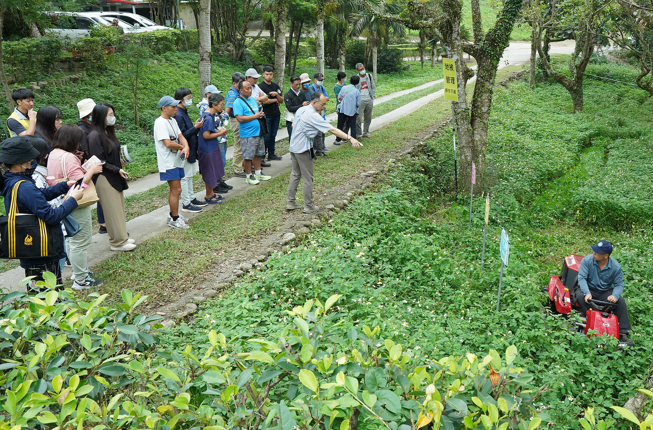 Figure 2. Demonstrations of a variety of groundcover management techniques were given at a TTDARES orchard.