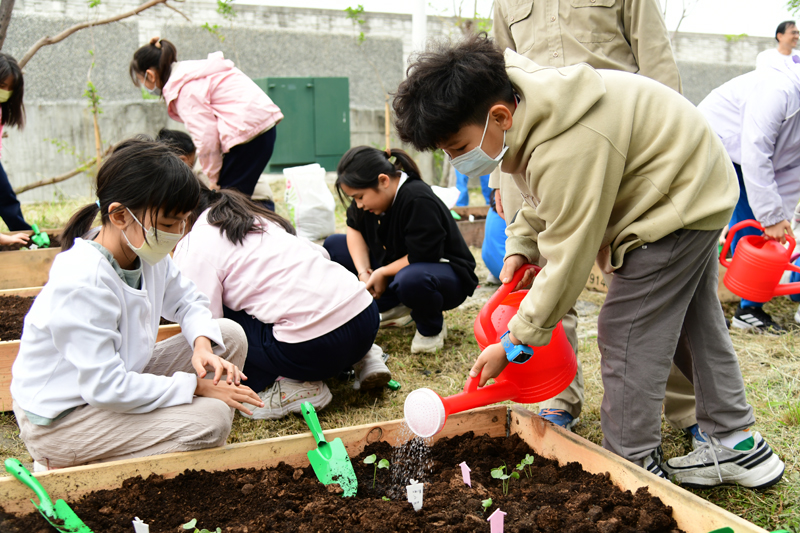 Students carefully watering their newly planted seedlings.