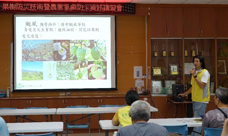 Figure 2. Assistant researcher Chen Po-yuan discusses disaster prevention techniques for fruit trees.