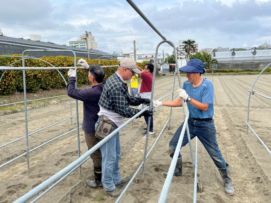 Participants setting up a trellis and a simple net house.