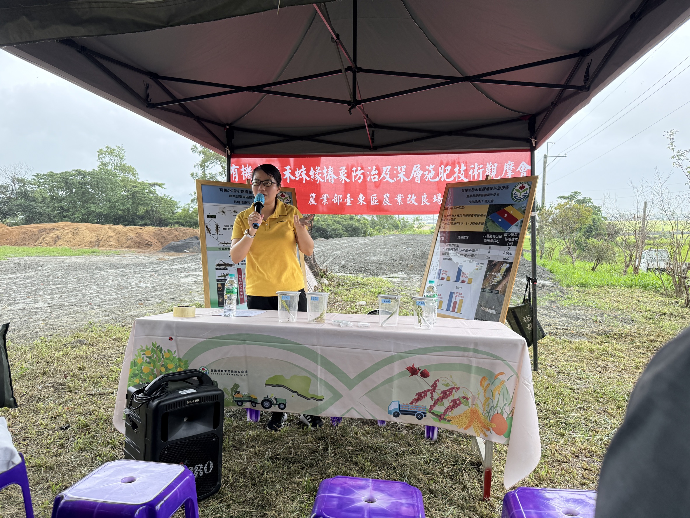 Assistant researcher Chang Fang-yi discusses paddy earhead bug prevention techniques based on field research.