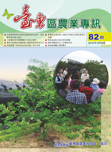 Taitung Agricultural Issue (82)