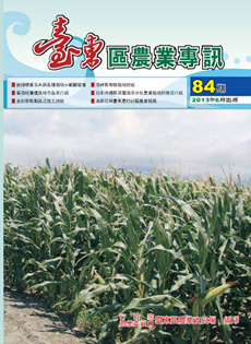 Taitung Agricultural Issue (84)