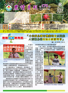 Taitung Agriculture Newsletter (175)