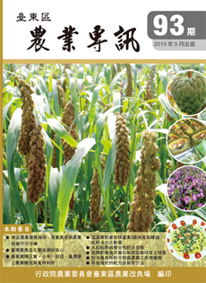 Taitung Agricultural Issue (93)