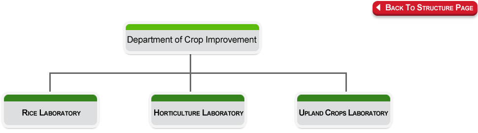 structures of Division Crop Improvement