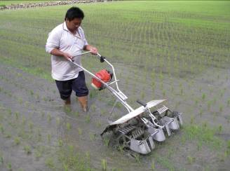 Paddy weeds remover