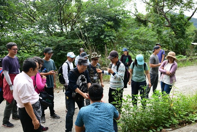 Healthy plant identification and collection on a forest path in Zhiben.