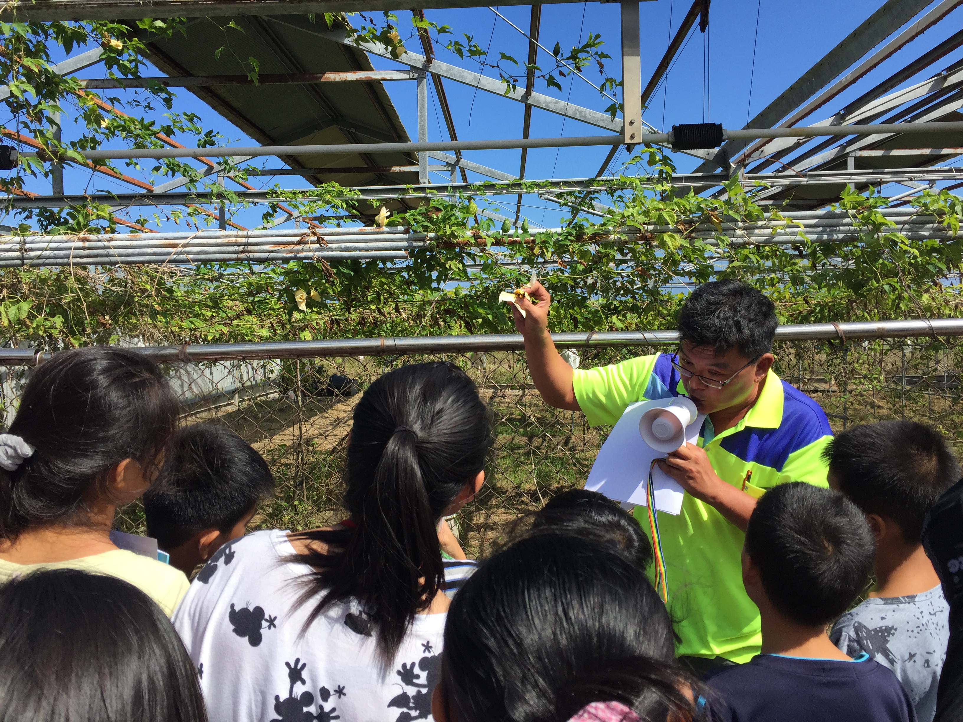 Students at Zhongxiao Elementary School were able to learn in a more localized way with a food and agriculture education course themed on locally grown gac.