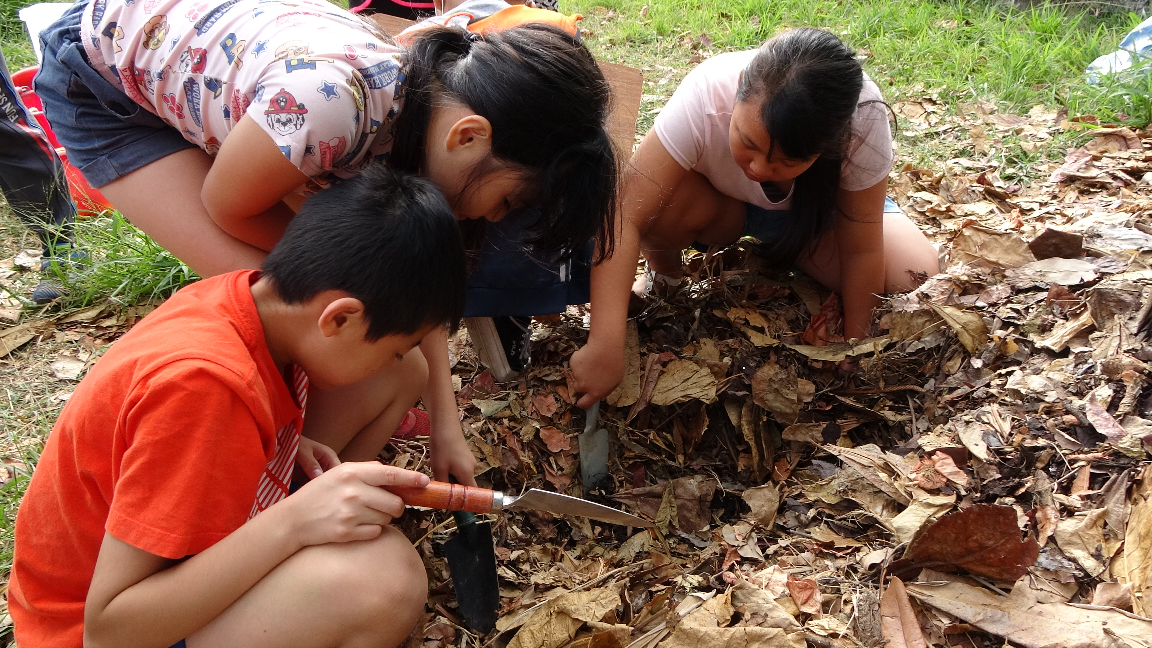 Students learn by observing the biotic community on the surface of a leaf compost pile.