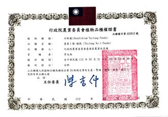 The PVR Certificate of Nobile-type Dendrobium 'Taitung No. 1 - Panda'
